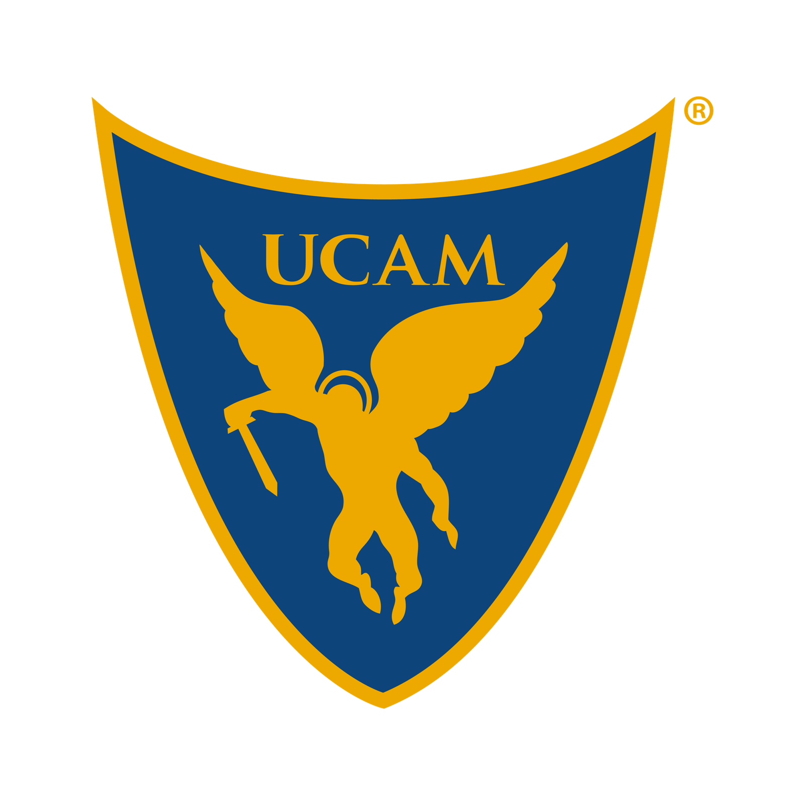 escudo ucam